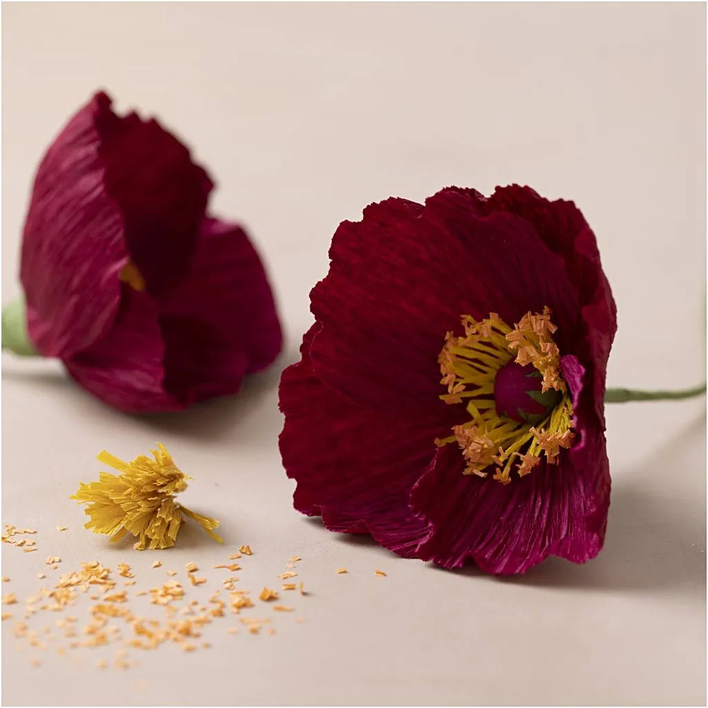Mini Kreativ Set Krepppapier Mohn
