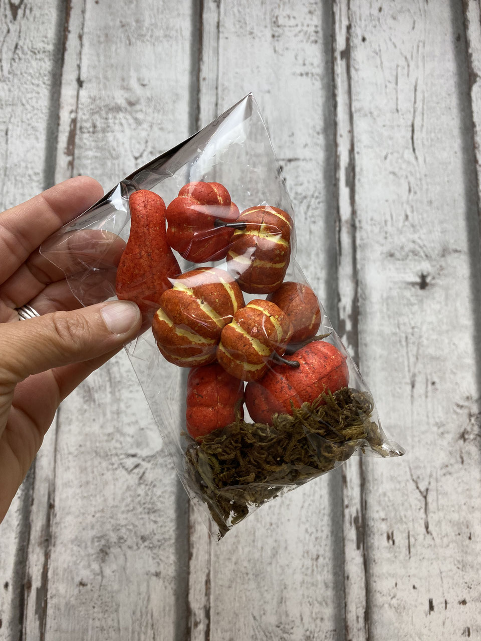 Deko Kürbisse Miniatur mit Moos