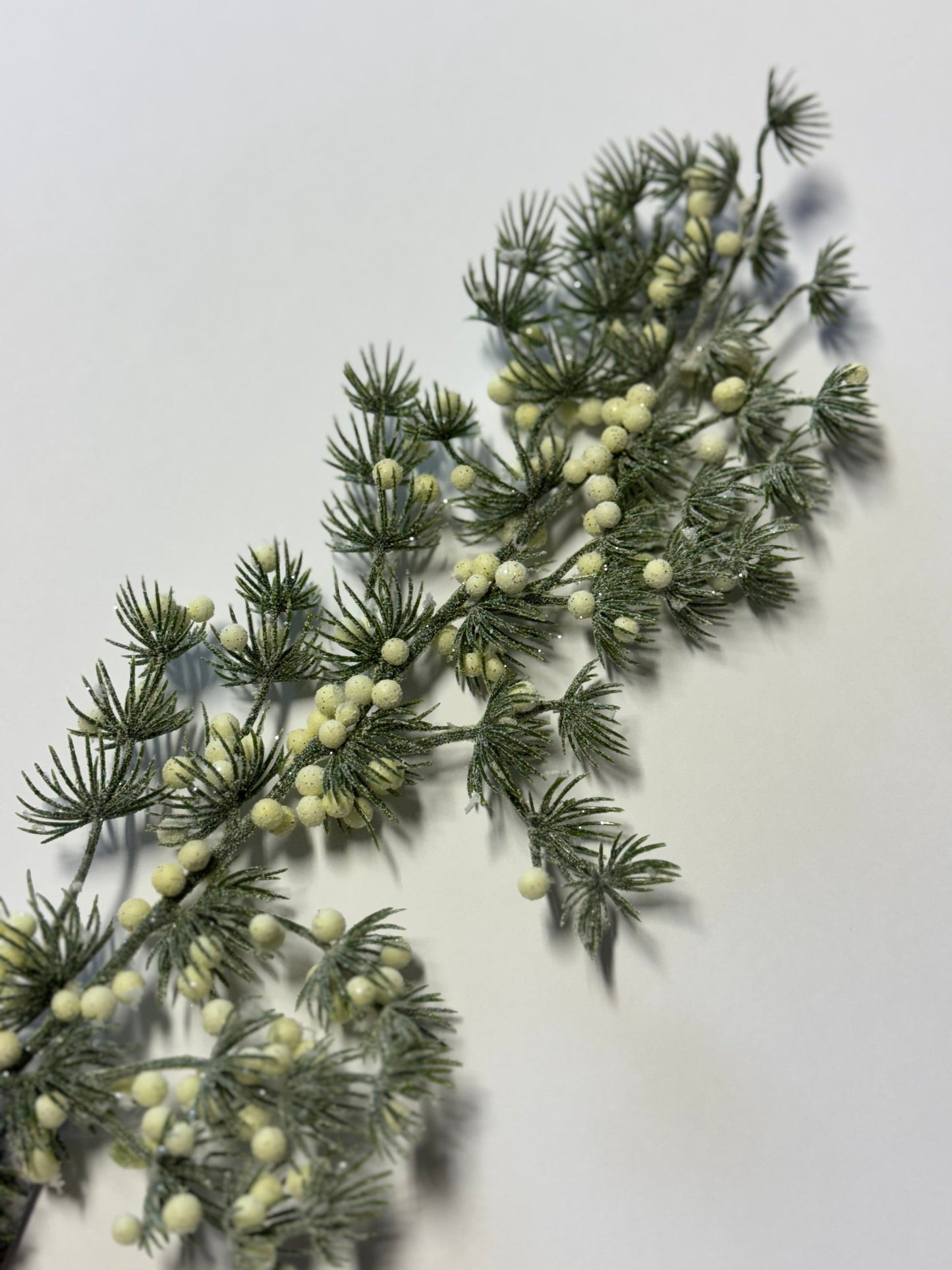 Lärchenzweig mit Beeren