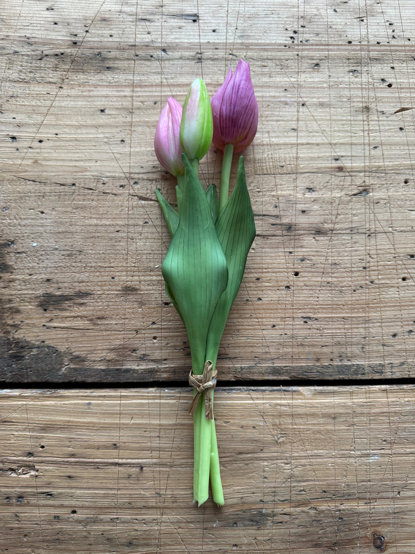 Tulpen Bund rosa Blüten