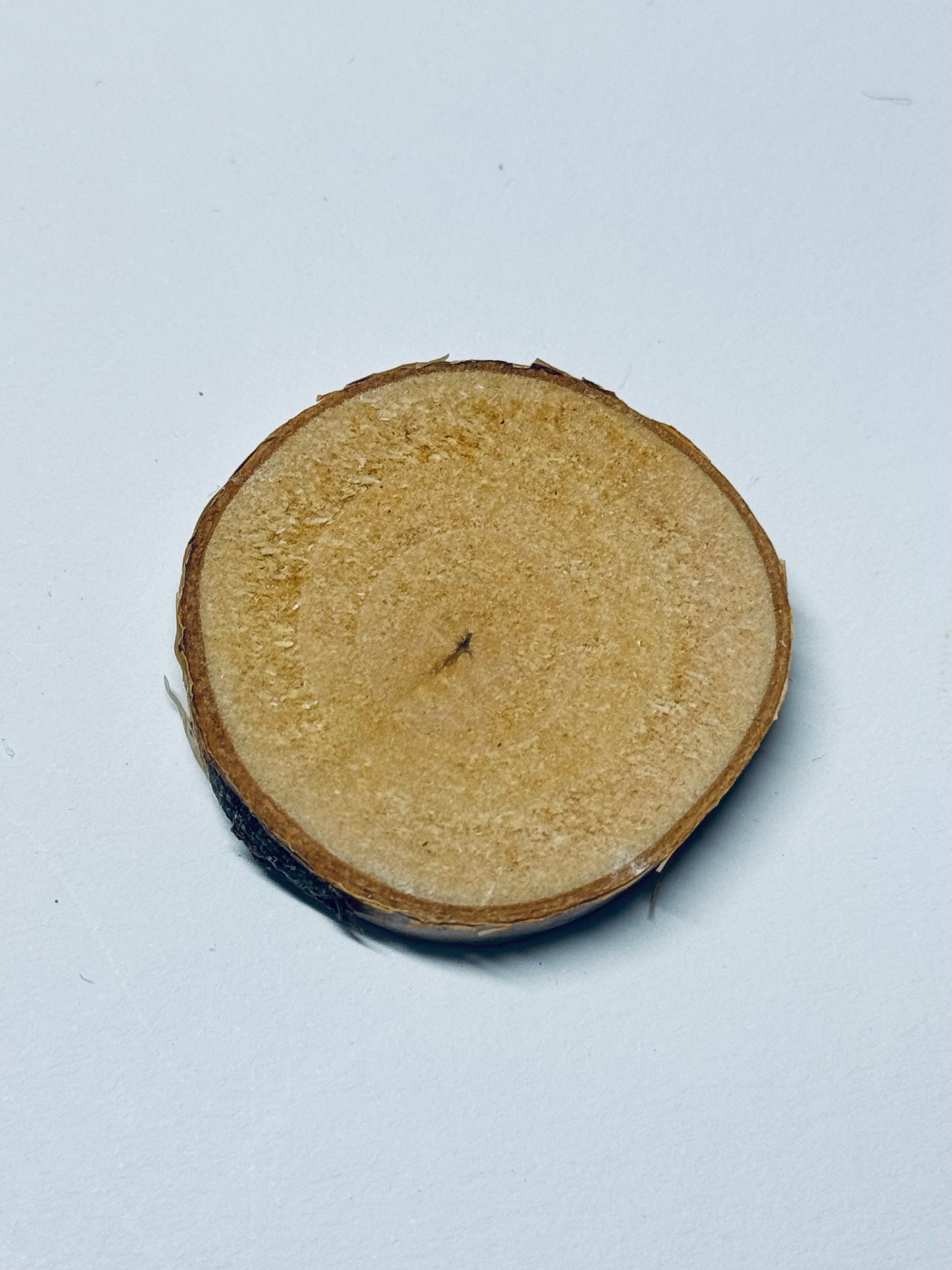 Holzscheiben für Wichtel-Advent