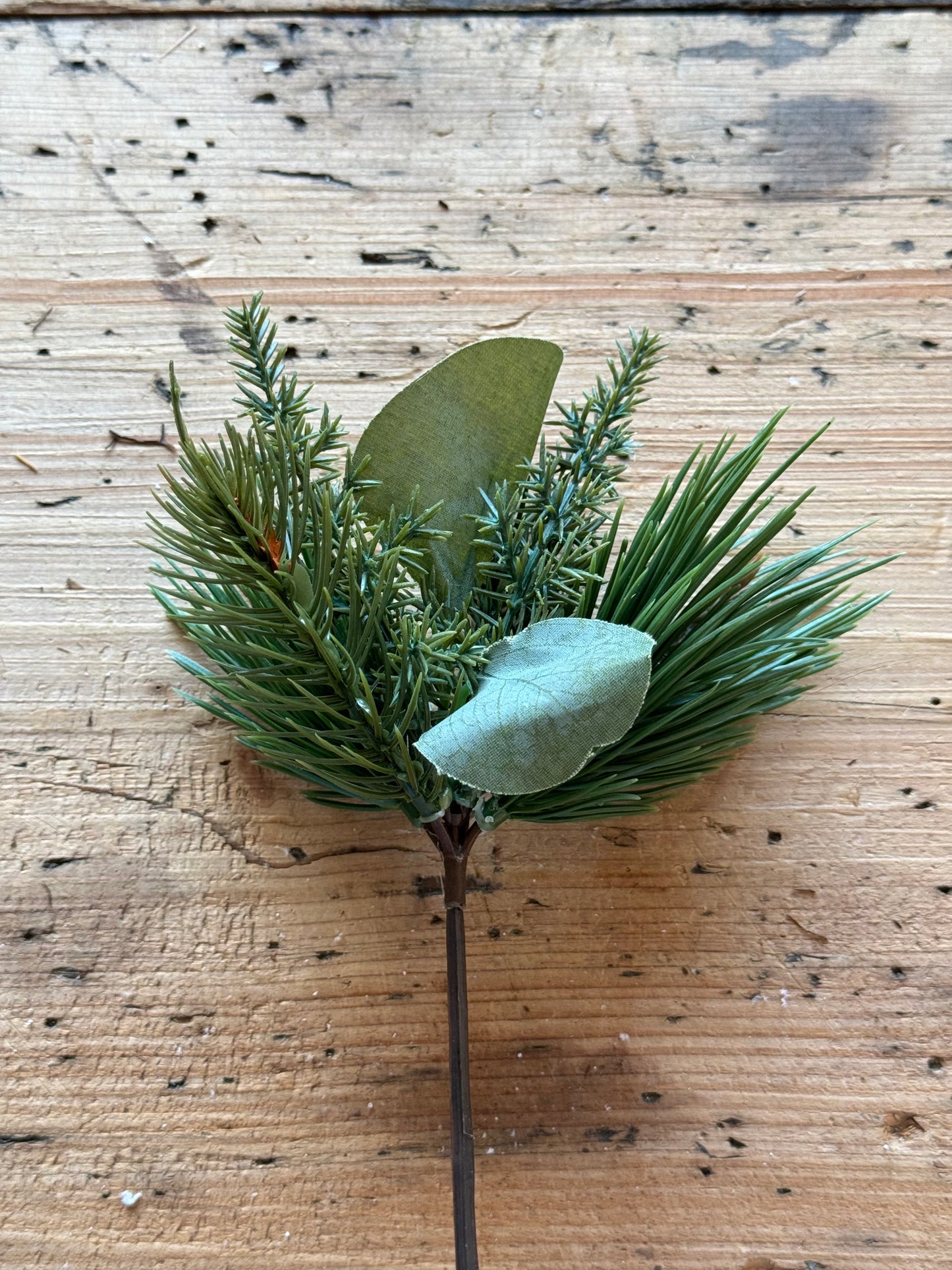 Tannenzweig winterliches Grün