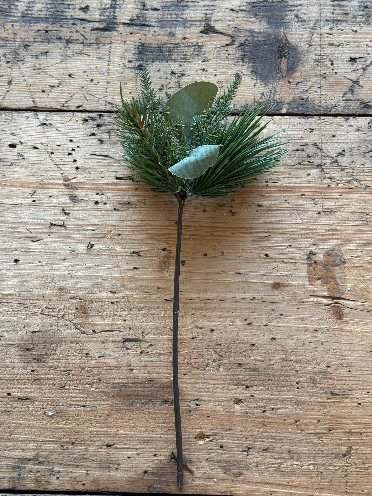 Tannenzweig winterliches Grün