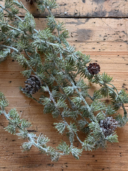 Lärchenranke mit Zapfen und Eis LANG