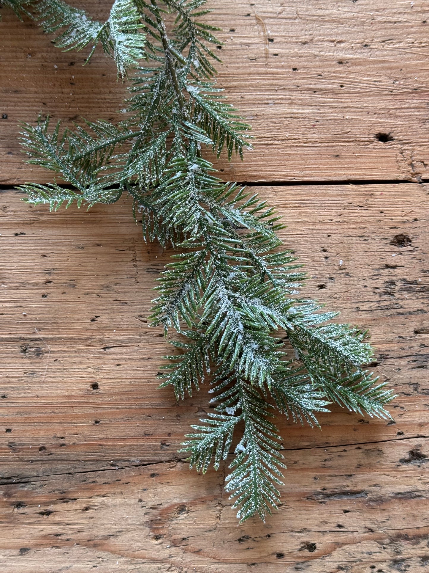 Tannenranke