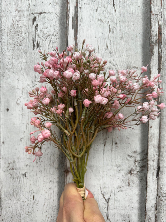 Schleierkraut Shabby