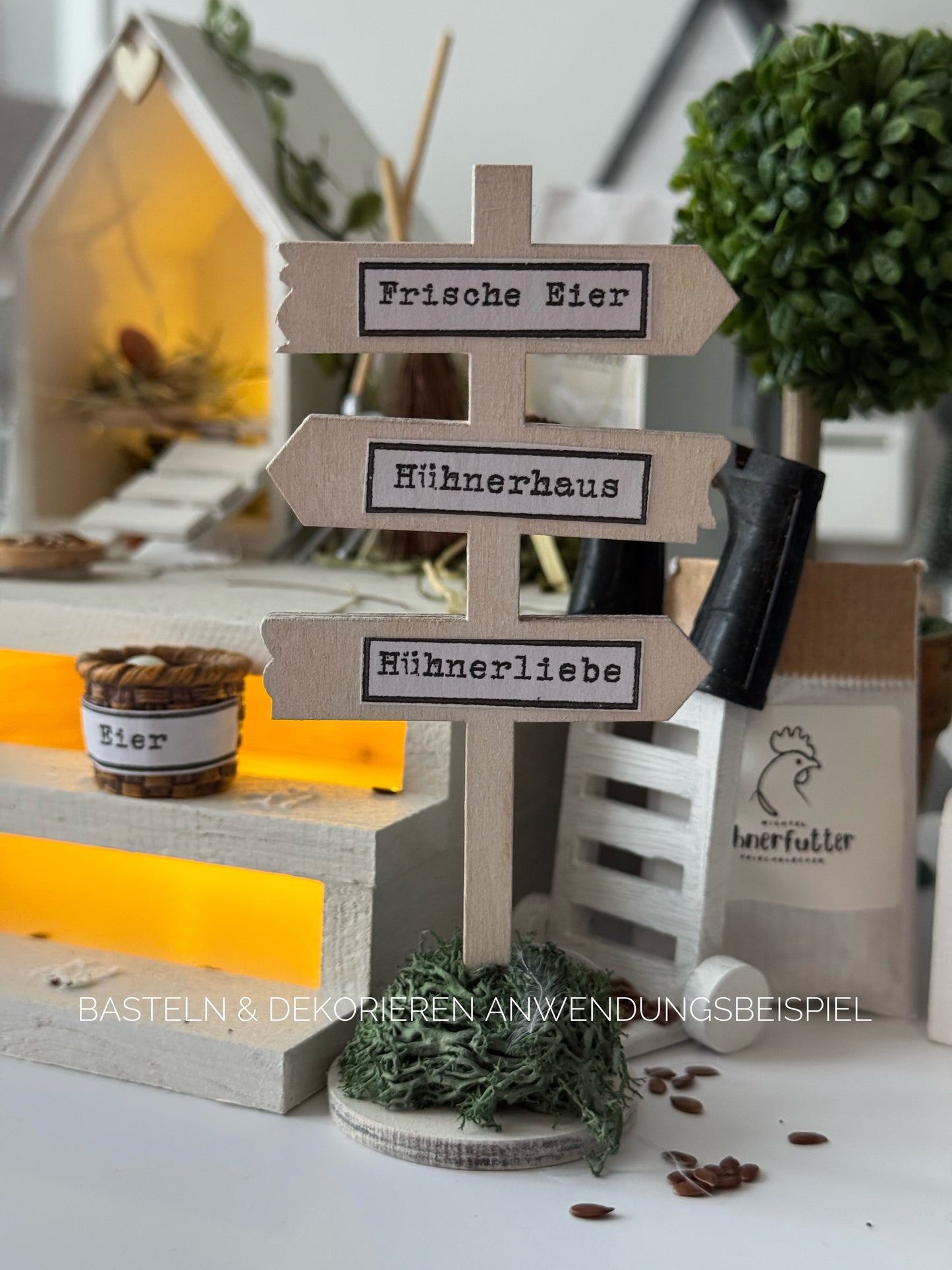 Hühnerstall Miniatur Kreativset 1:12 Wichteltür