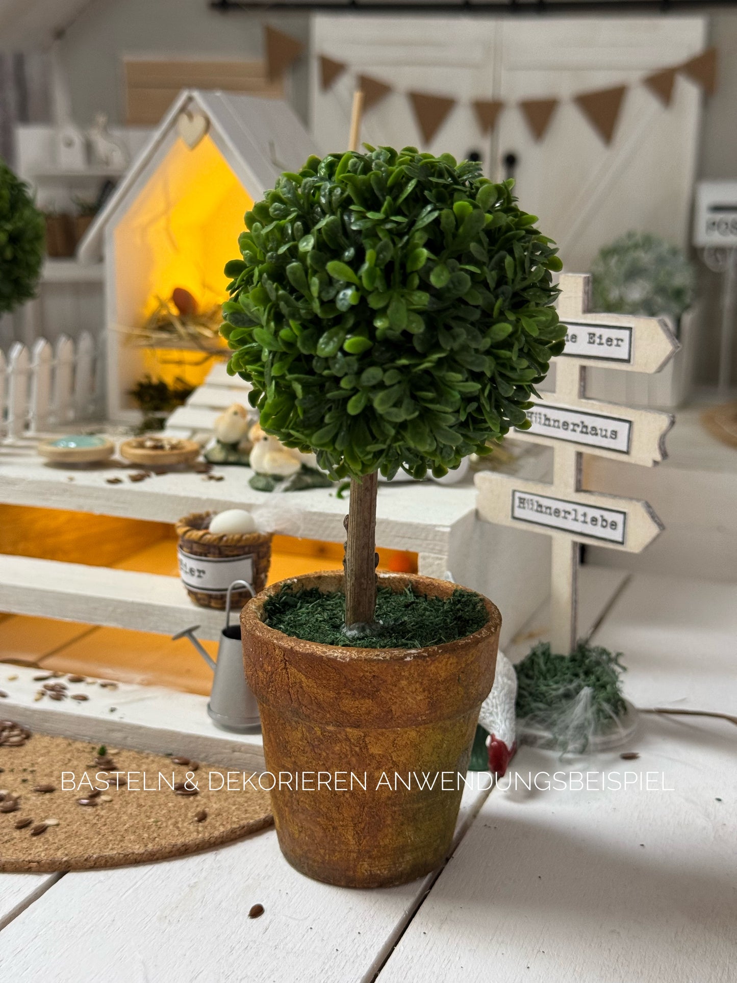 Buchs-Baum mit Topf Hochstamm