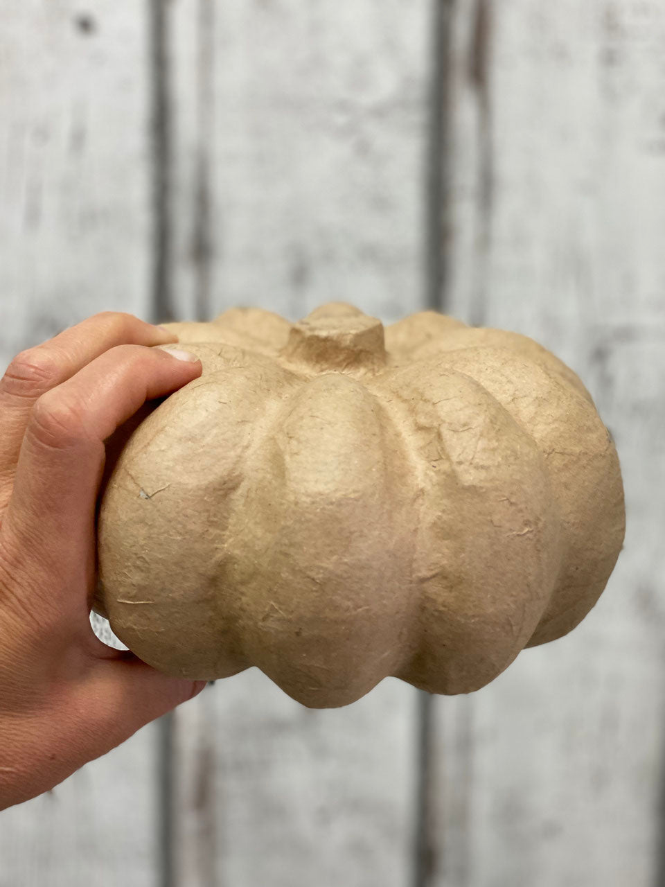 Kürbis Papp Art verschiedene Größen