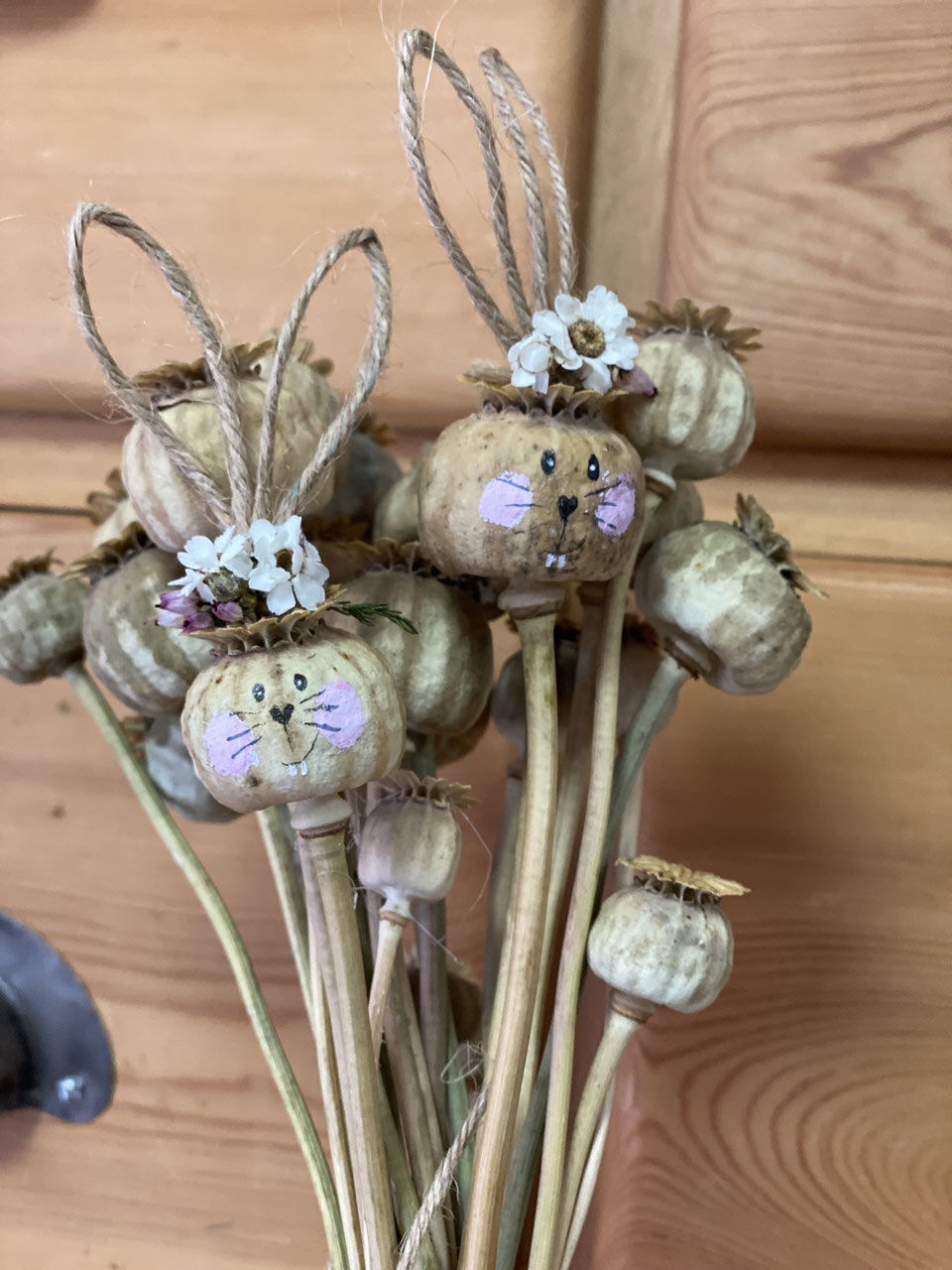 Mohnkapseln ca. 20 Stück im Bund