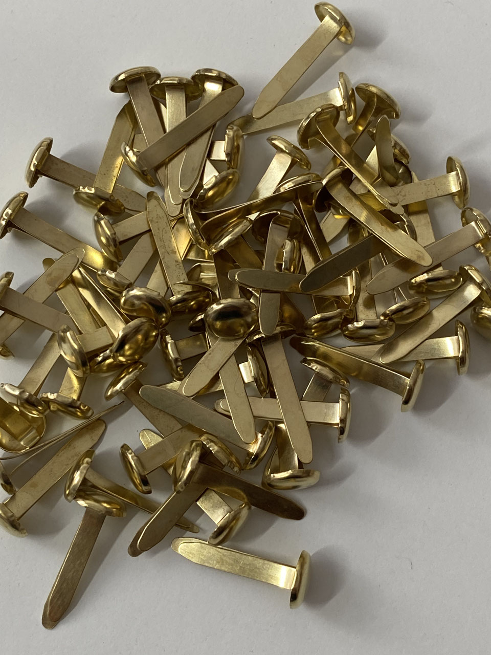 Rundkopfklammer gold für Türgriffe