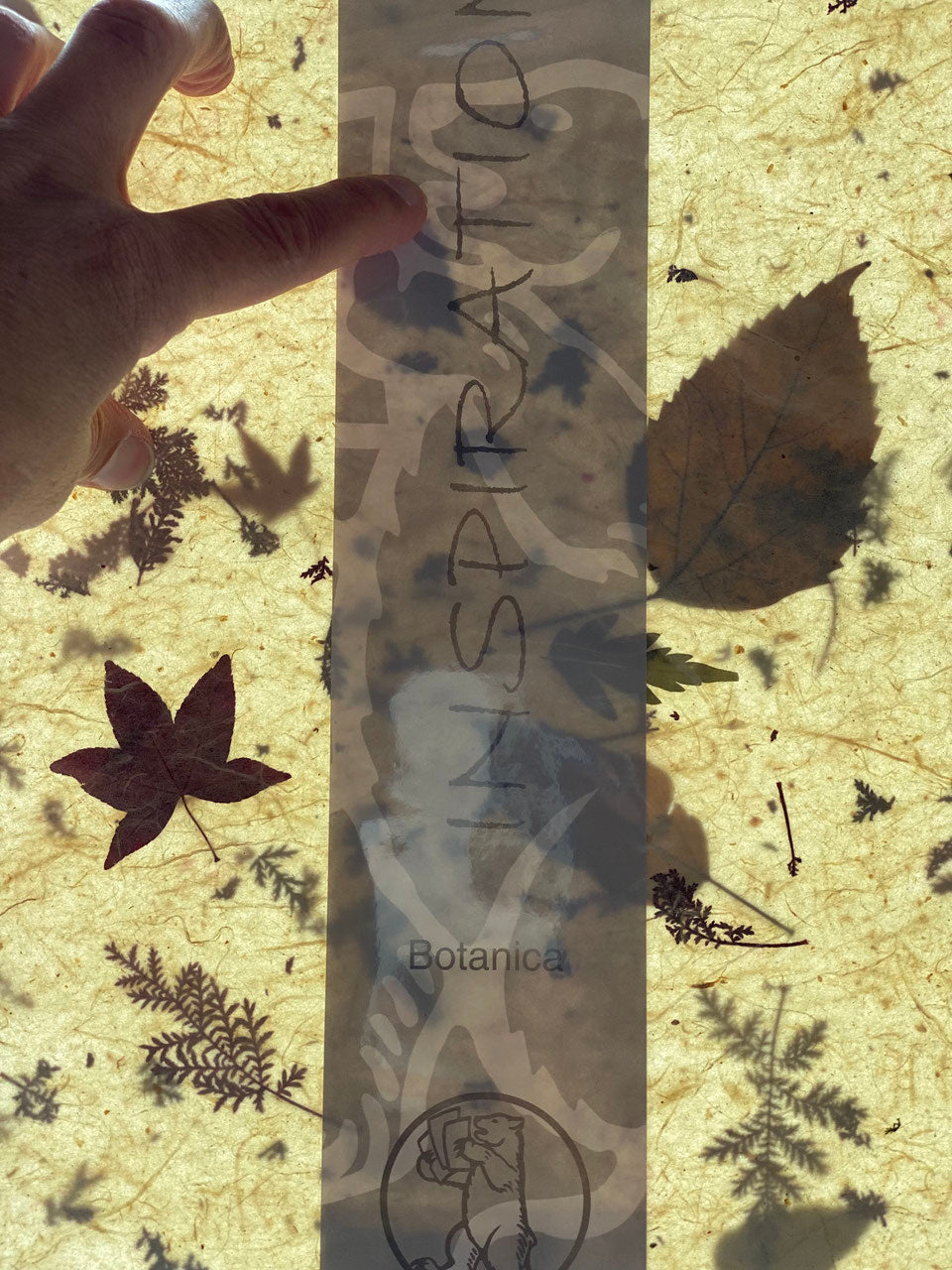 Strohseide Naturpapier Botanica