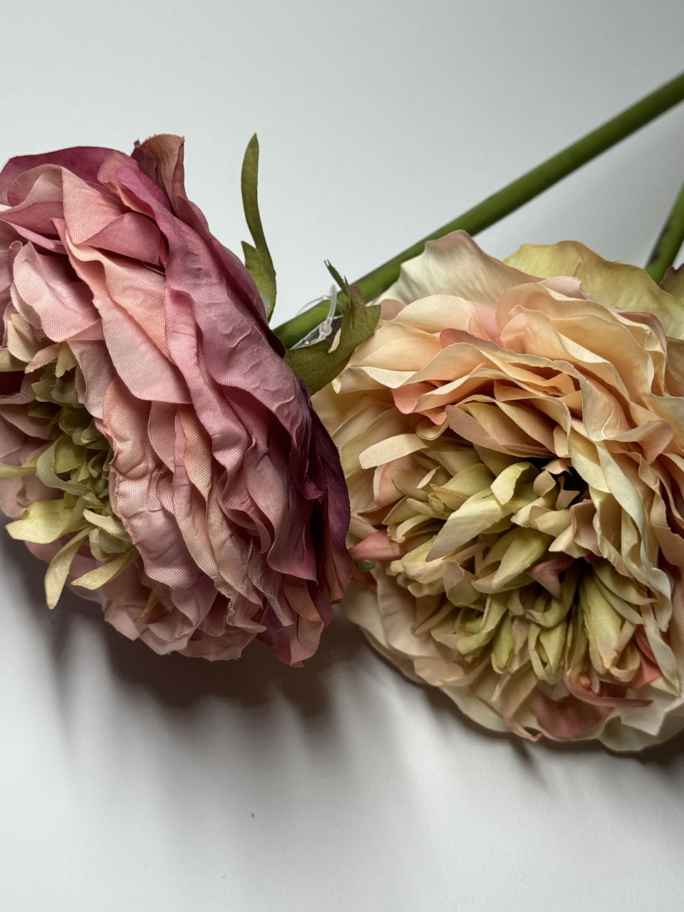 Ranunkel Seidenblume