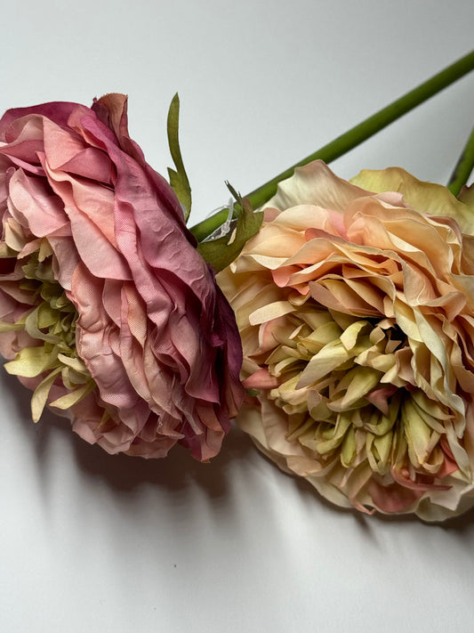 Ranunkel Seidenblume