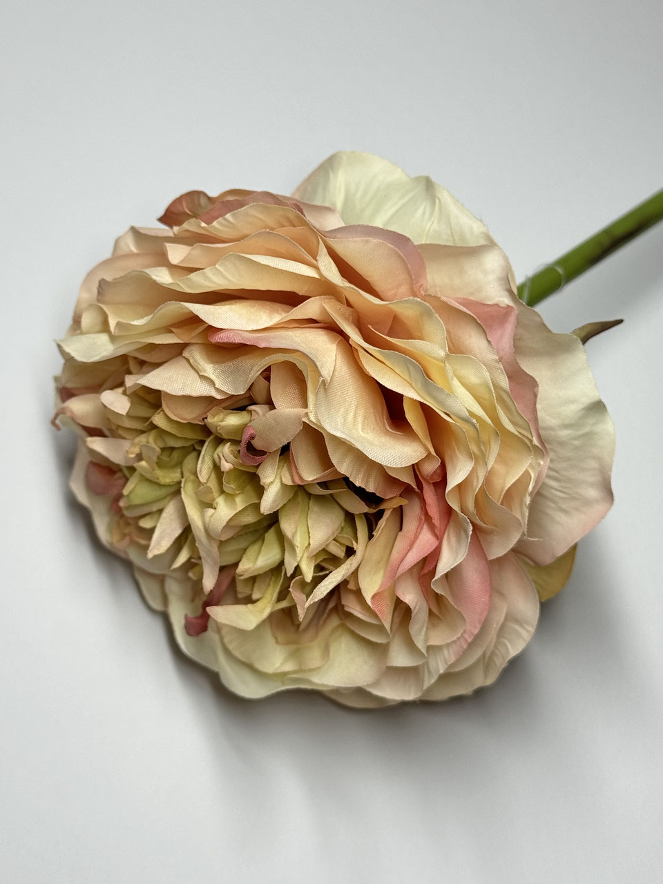 Ranunkel Seidenblume