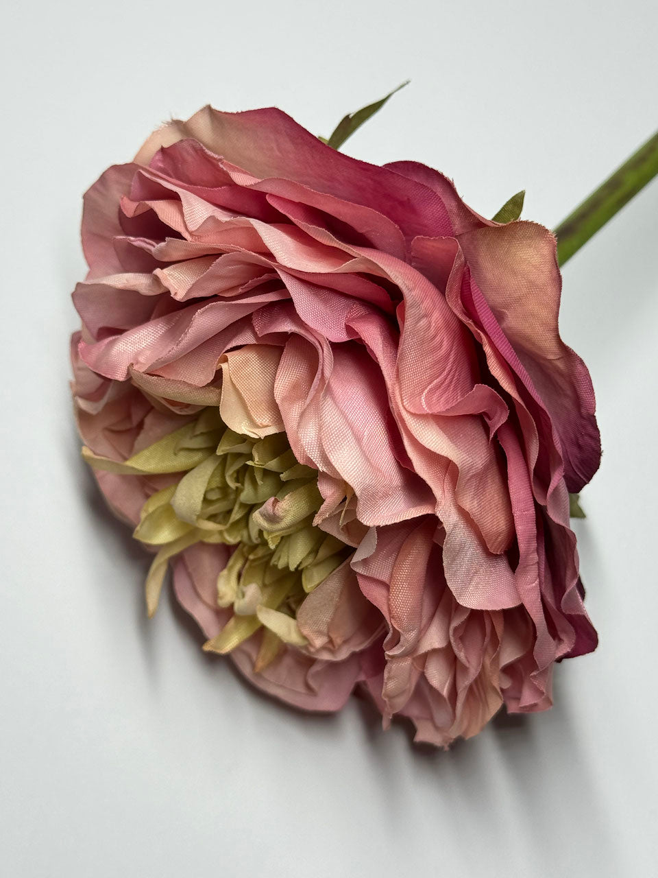 Ranunkel Seidenblume