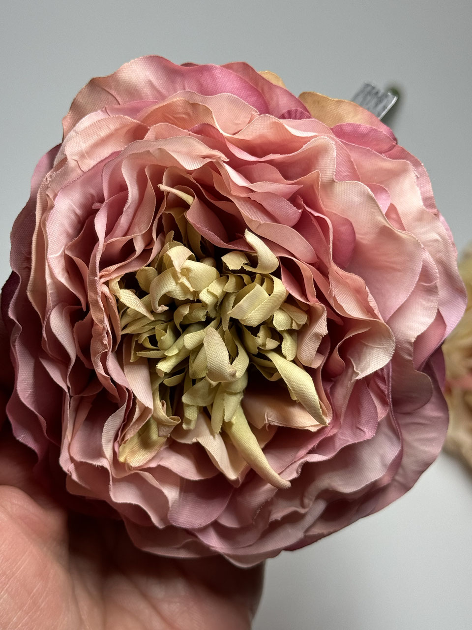 Ranunkel Seidenblume