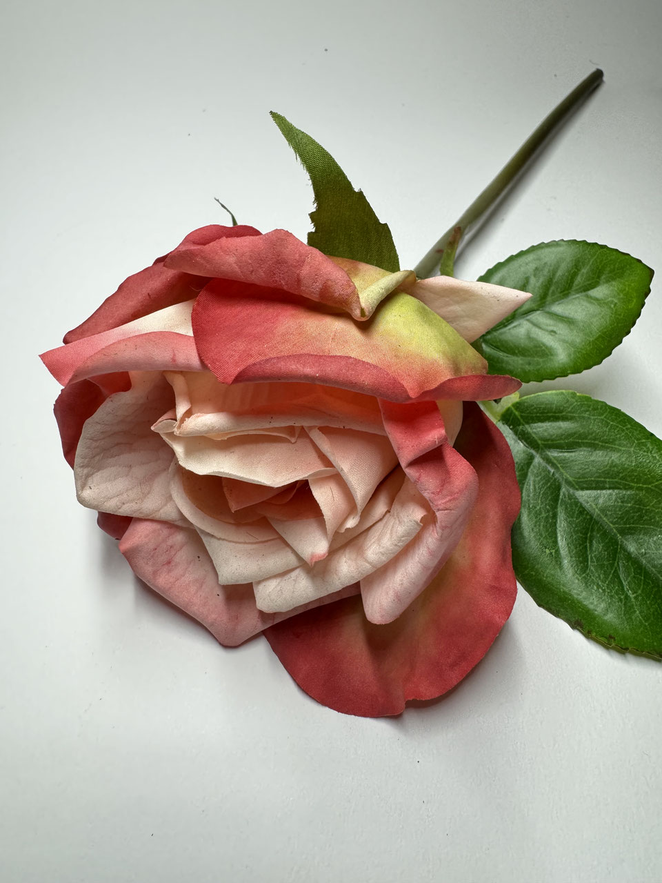 Rose verschiedene