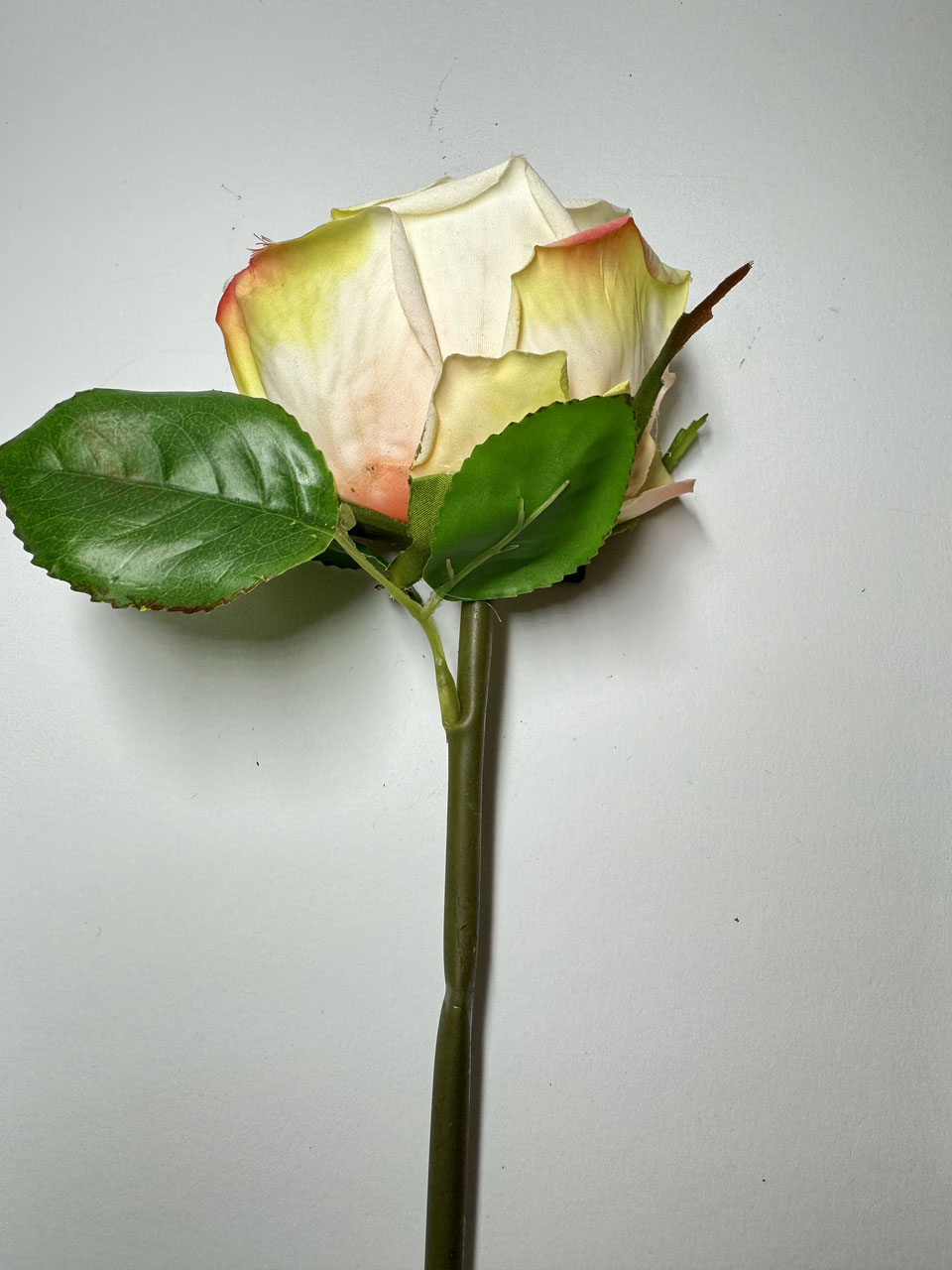 Rose verschiedene