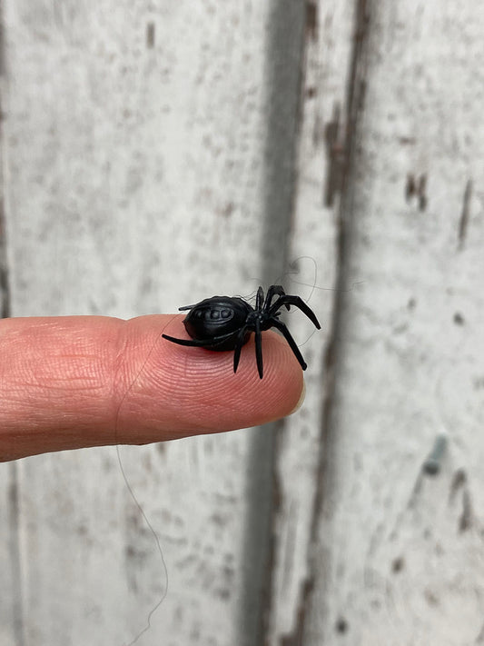Spinnen 2cm