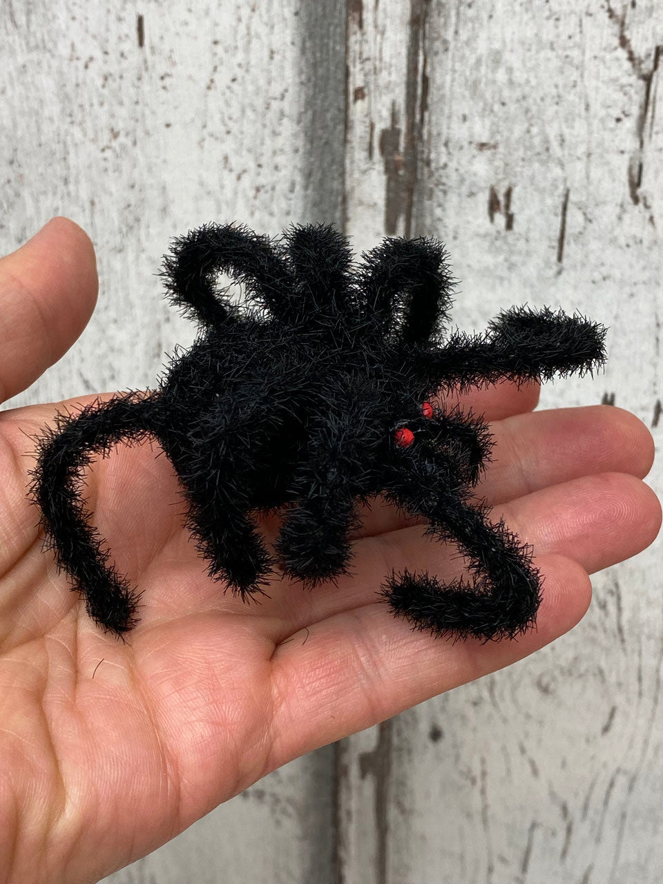 Spinne