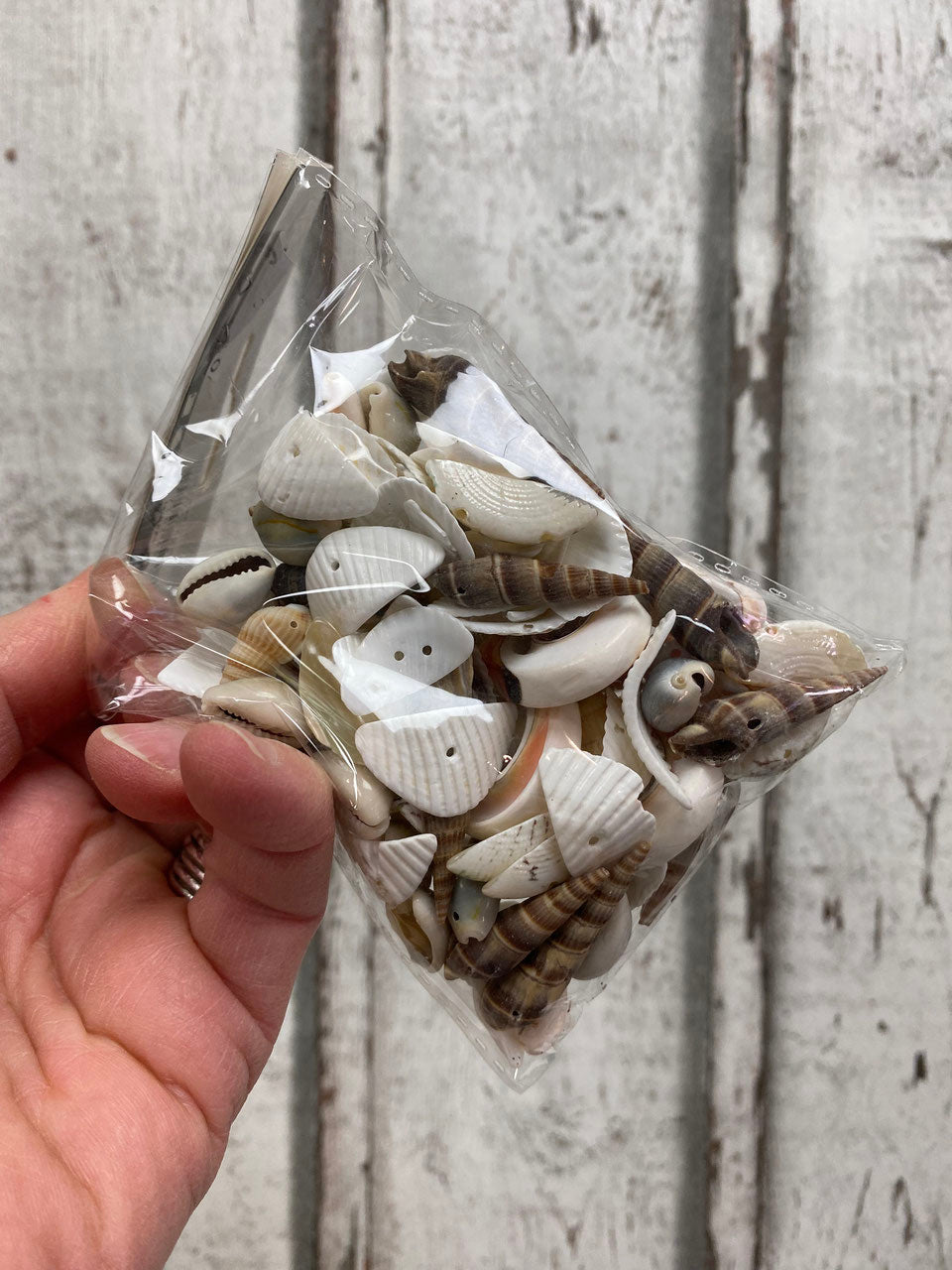 Strandmuschelmix Perlen