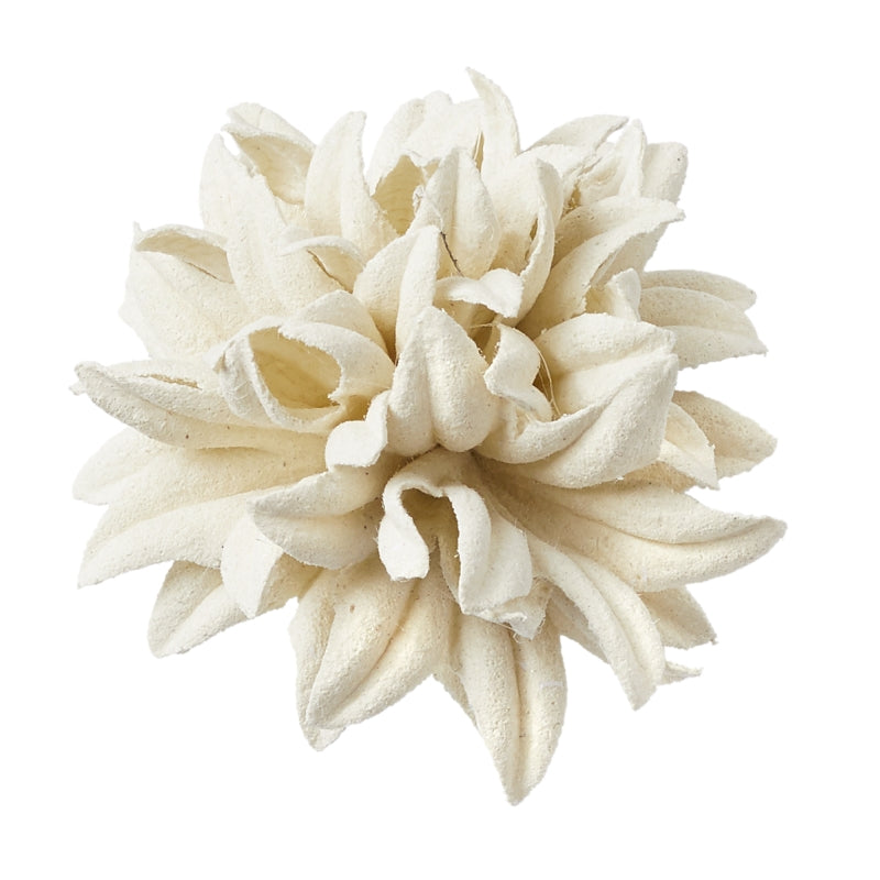 Papierbüte II Dahlie