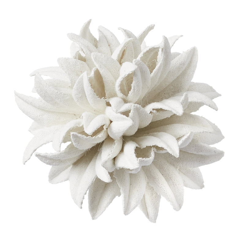 Papierbüte II Dahlie