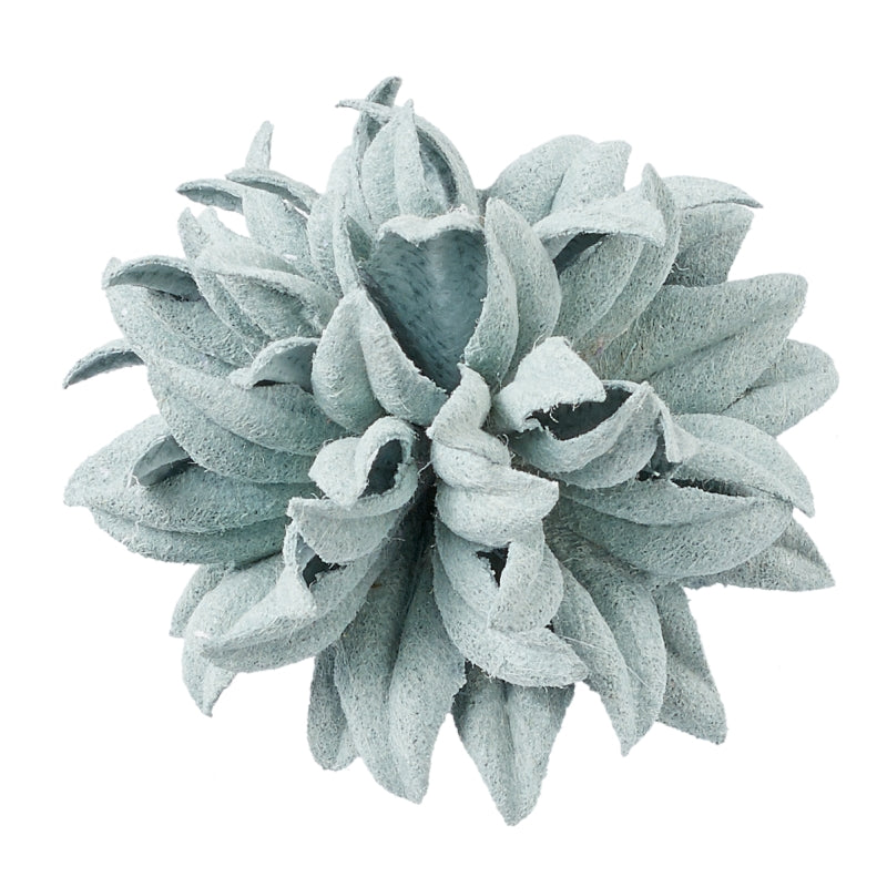 Papierbüte II Dahlie