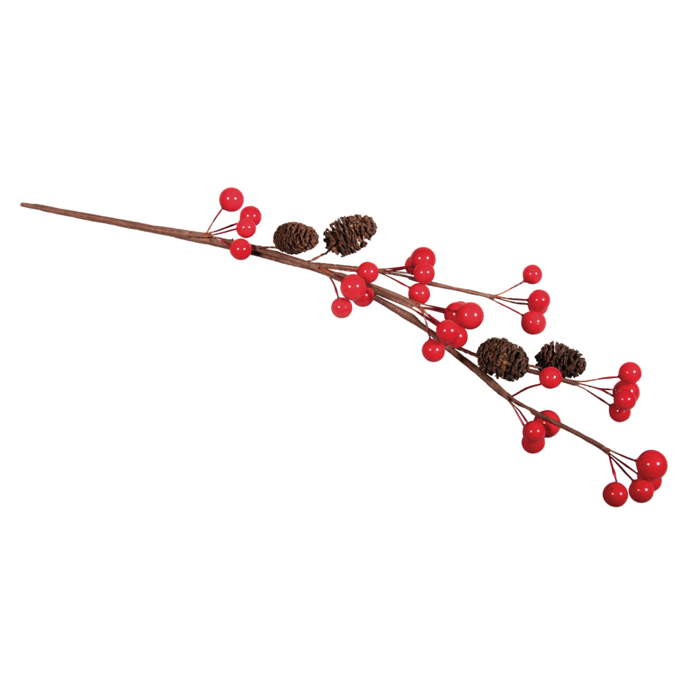 Beerenzweig mit Erlenzapfen