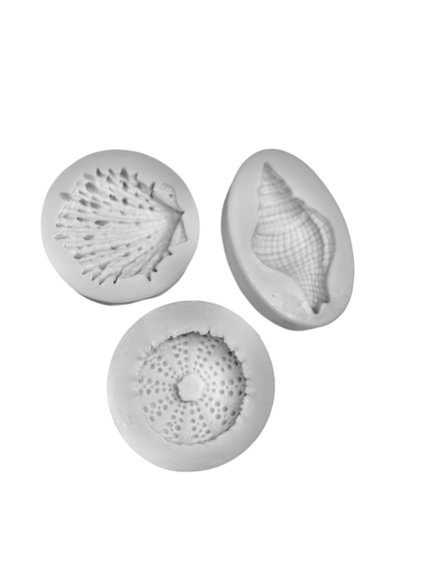 Silikonform Seeigel, Schneckenmuschel, Muschel