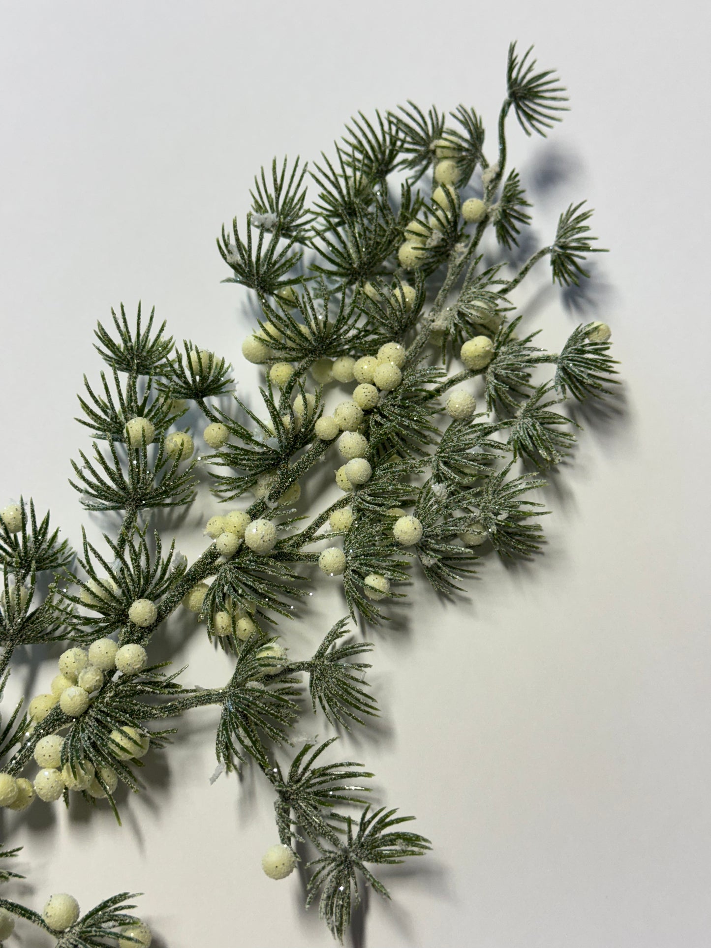 Lärchenzweig mit Beeren