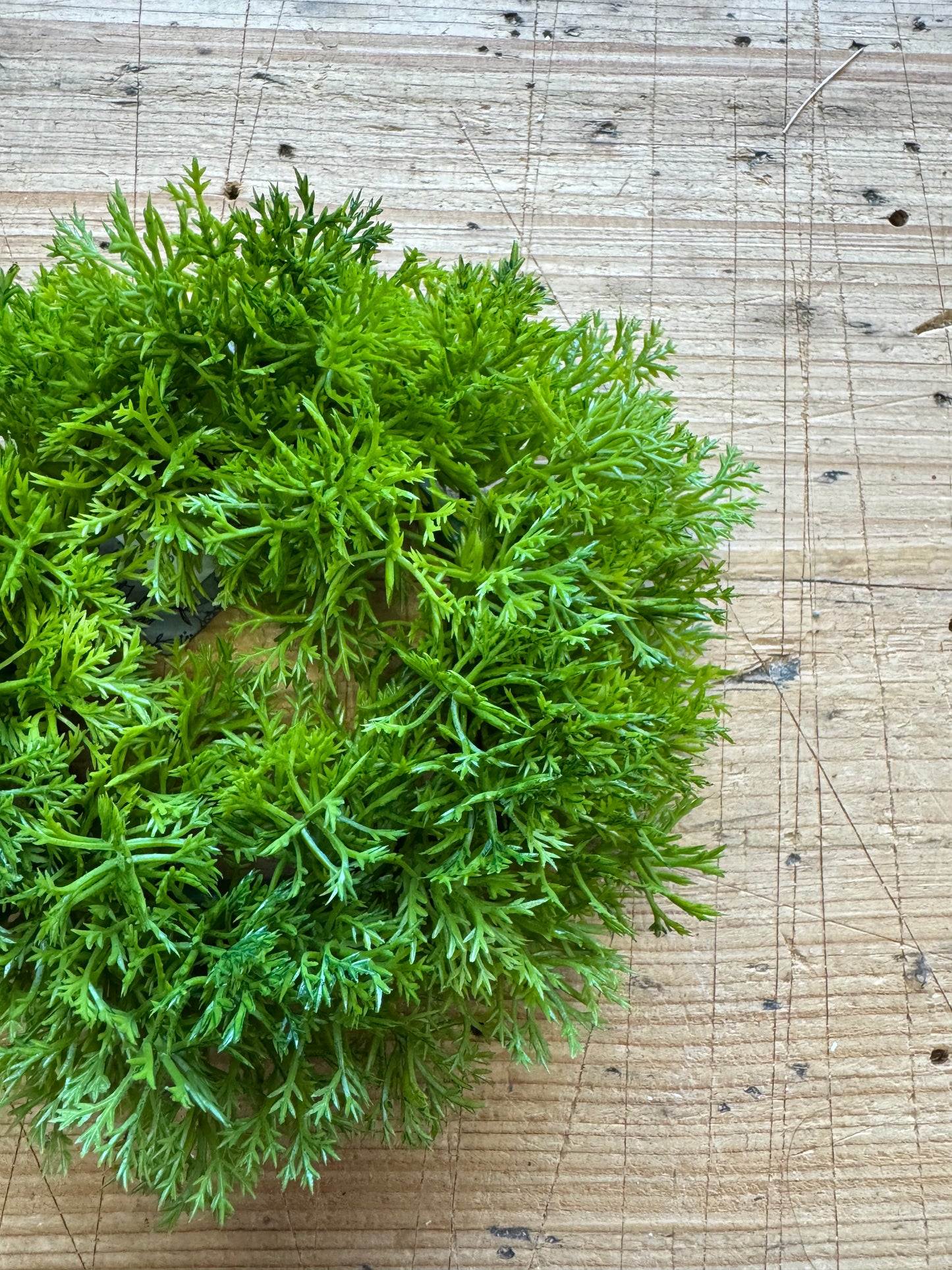 Mini Petersilienkranz