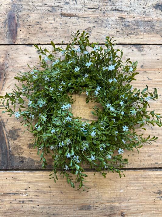 Kranz-Buchsbaum mit weißen Blüten