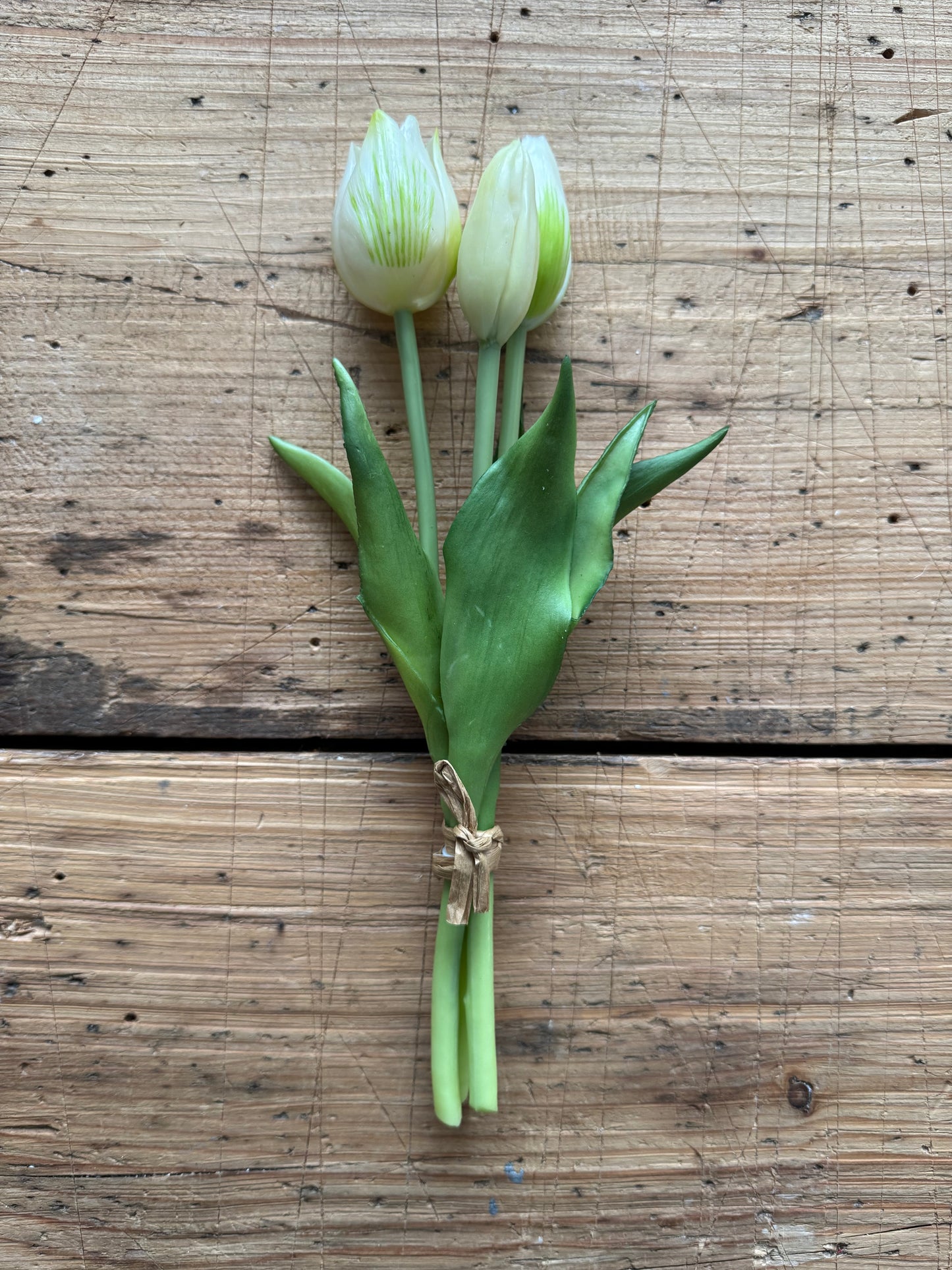 Tulpen Bund weiße Blüten