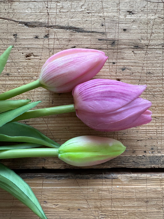 Tulpen Bund rosa Blüten