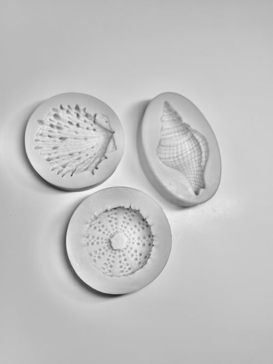 Silikonform Seeigel, Schneckenmuschel, Muschel