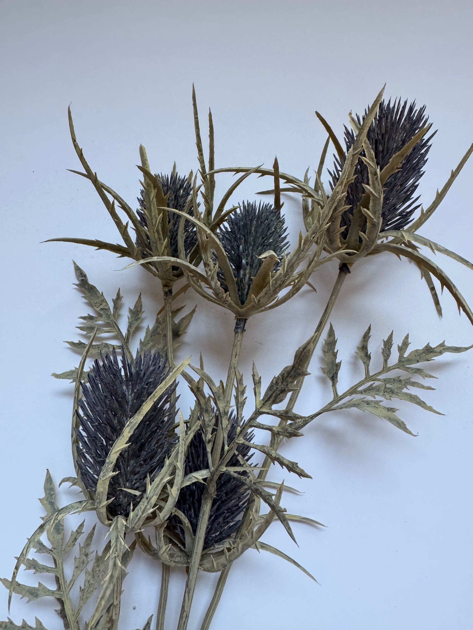 Künstliche blaue Distel zur Dekoration 